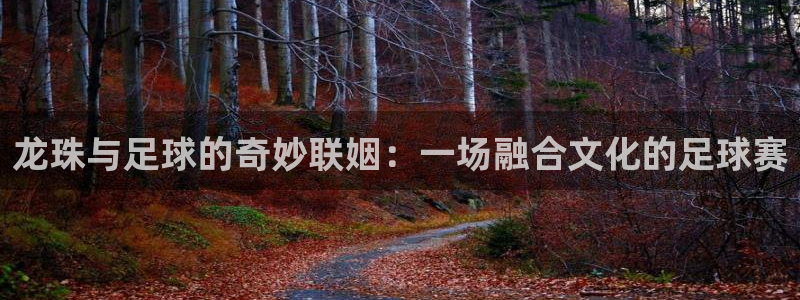 龙珠与足球的奇妙联姻：一场融合文化的