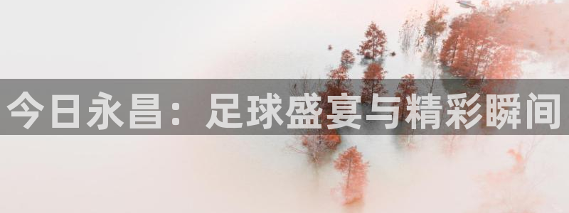 今日永昌：足球盛宴与精彩瞬间