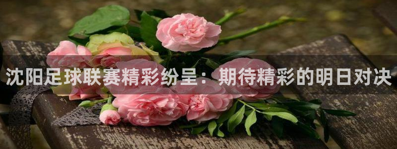 沈阳足球联赛精彩纷呈：期待精彩的明日对决