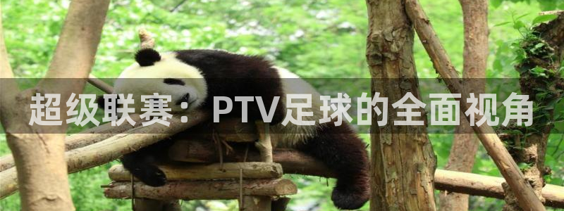 超级联赛：PTV足球的全面视角