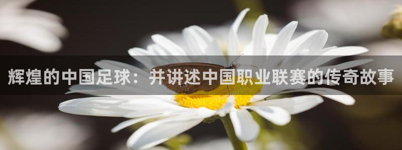  辉煌的中国足球：并讲述中国职业联赛的传奇故事