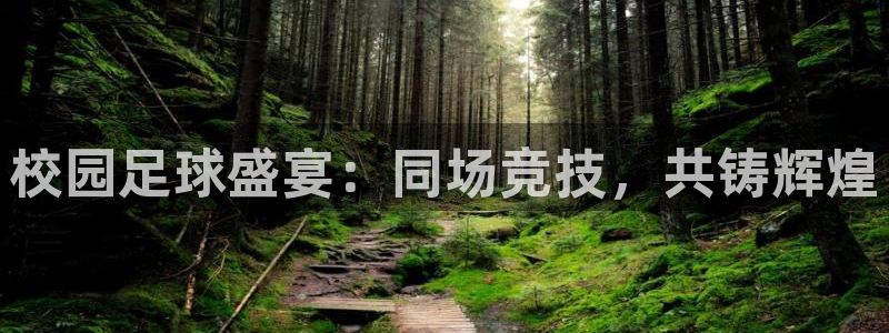  校园足球盛宴：同场竞技，共铸辉煌