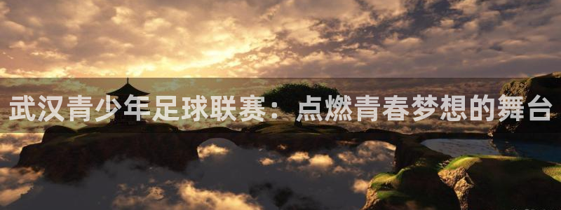 武汉青少年足球联赛：点燃青春梦想的舞台