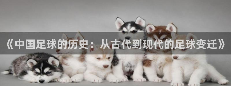 《中国足球的历史：从古代到现代的足球变迁》