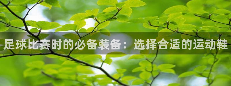  足球比赛时的必备装备：选择合适的运动鞋