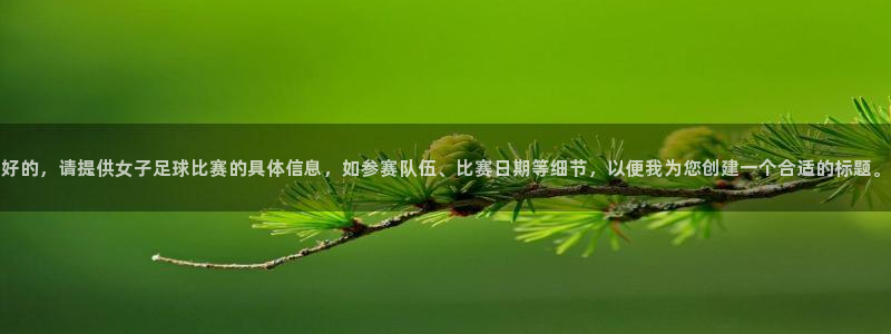 好的，请提供女子足球比赛的具体信息，如参赛队伍、比赛日期等细