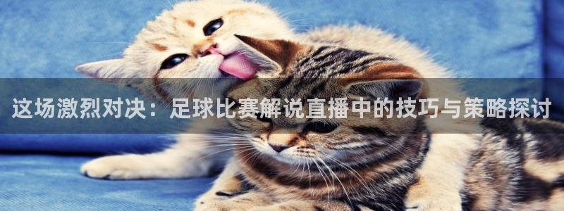  这场激烈对决：足球比赛解说直播中的技巧与策略探讨