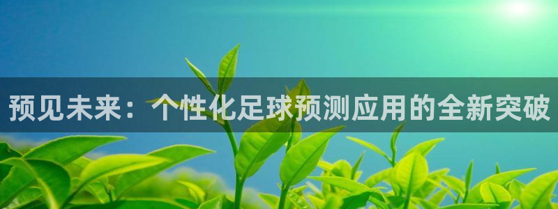  预见未来：个性化足球预测应用的全新突破