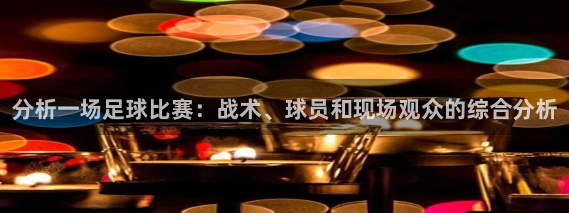 分析一场足球比赛：战术、球员和现场观众的综合分析
