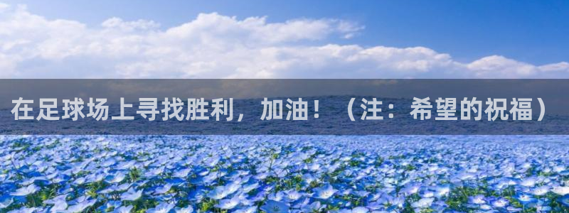  在足球场上寻找胜利，加油！（注：希望的祝福）