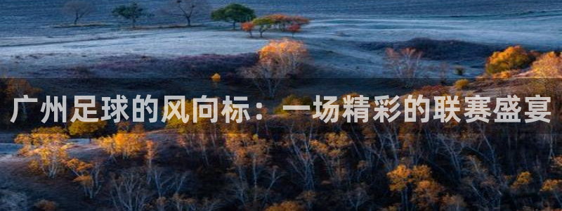 广州足球的风向标：一场精彩的联赛盛宴