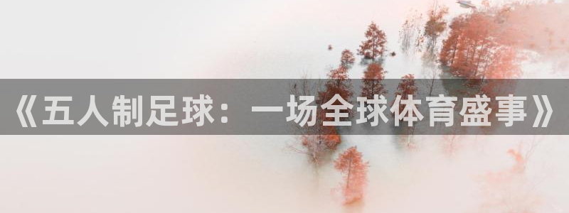  《五人制足球：一场全球体育盛事》