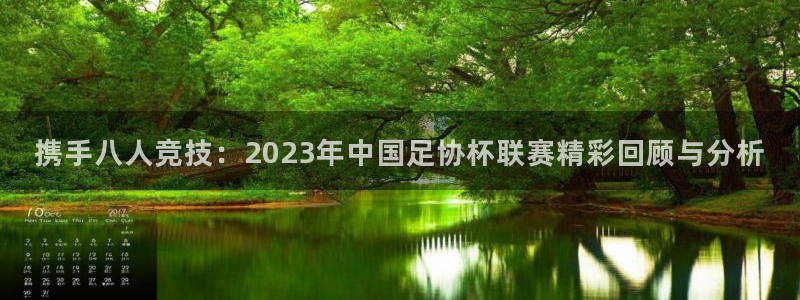 携手八人竞技：2023年中国足协杯联赛精彩回顾与分析