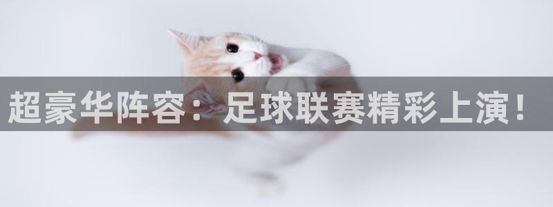  超豪华阵容：足球联赛精彩上演！