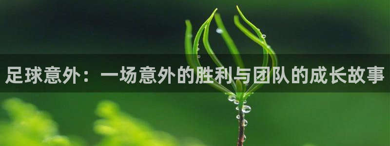 足球意外：一场意外的胜利与团队的成长故事