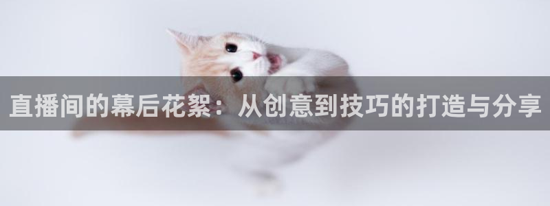 玩球直播免费下载：直播间的幕后花絮：从创意到技巧的打造与分享