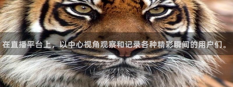 玩球直播nba：在直播平台上，以中心视角观察和记录各种精彩瞬间的用户们。