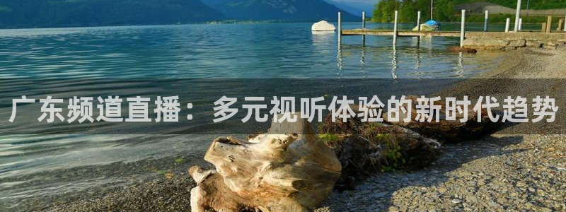 玩球直播免费高清在线：广东频道直播：多元视听体验的新时代趋势