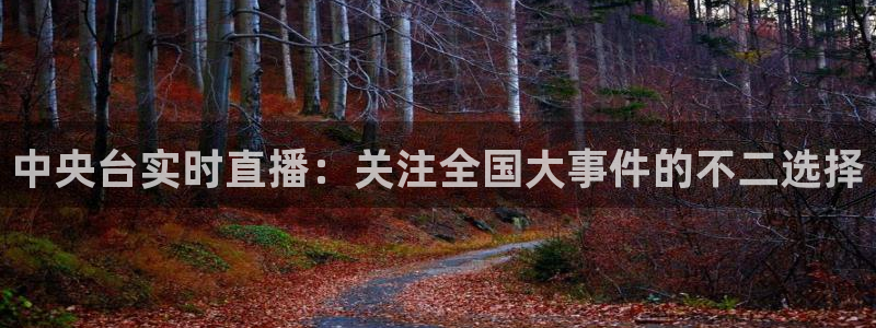 玩球直播官网下载：中央台实时直播：关注全国大事件的不二选择