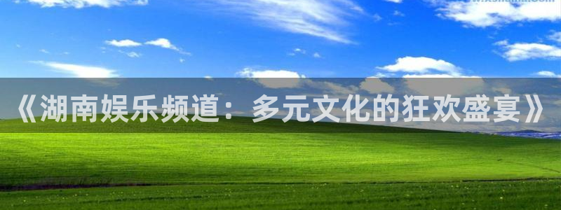 玩球直播app下载：《湖南娱乐频道：多元文化的狂欢盛宴》