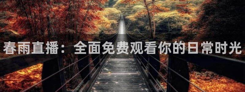 玩球直播官网nba直播