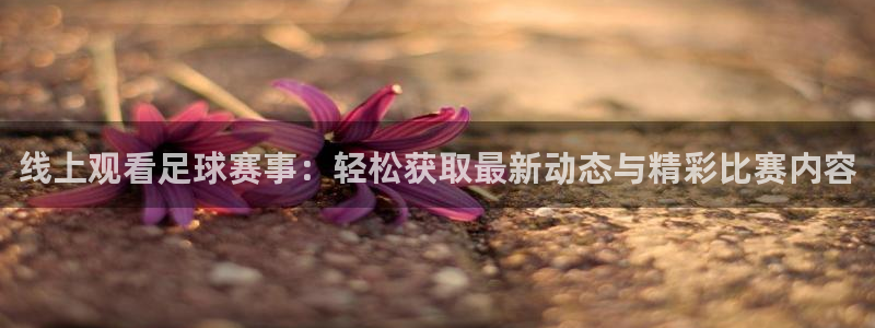 wqzb玩球直播