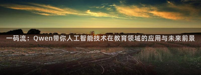 玩球体育直播app：一码流：Qwen带你人工智能技术在教育领域的应用与未来前景