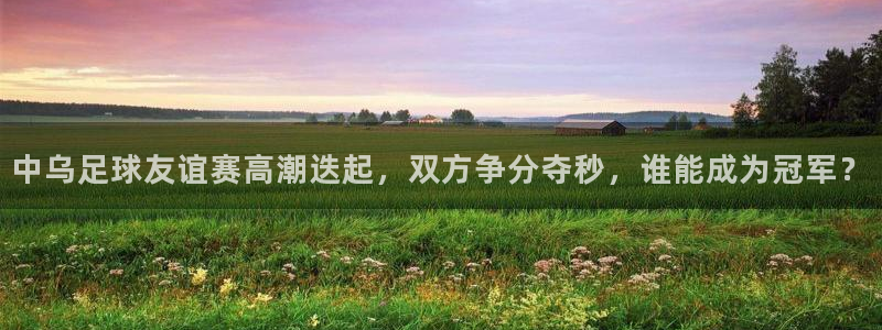 中乌足球友谊赛高潮迭起，双方争分夺秒