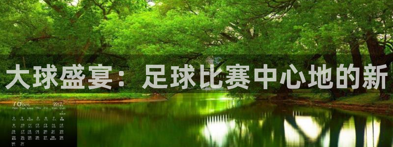 大球盛宴：足球比赛中心地的新