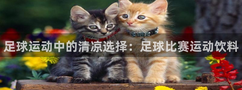 足球运动中的清凉选择：足球比赛运动饮
