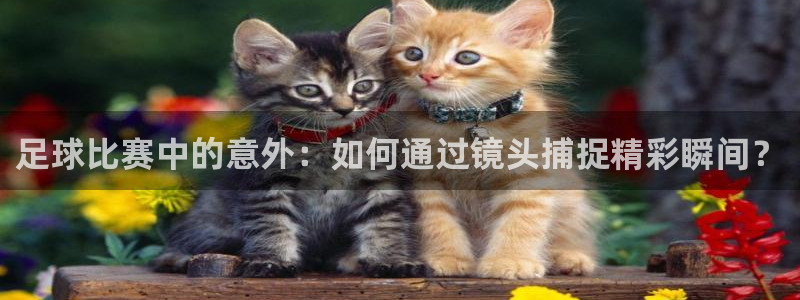 足球比赛中的意外：如何通过镜头捕捉精