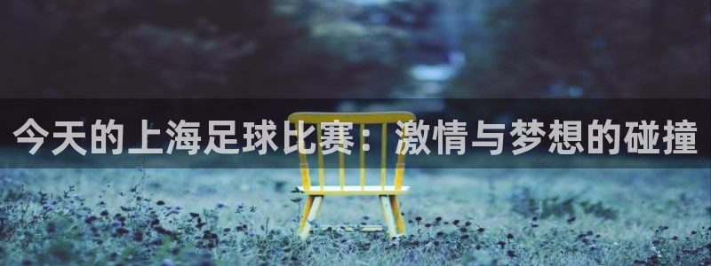 今天的上海足球比赛：激情与梦想的碰撞