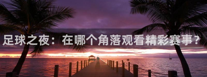 足球之夜：在哪个角落观看精彩赛事？