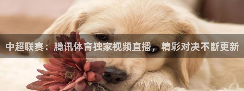 中超联赛：腾讯体育独家视频直播，精彩