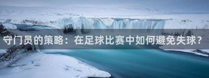 守门员的策略：在足球比赛中如何避免失
