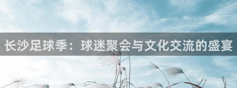 长沙足球季：球迷聚会与文化交流的盛宴