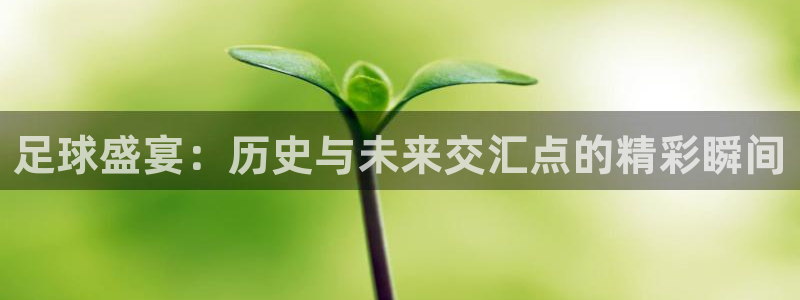 足球盛宴：历史与未来交汇点的精彩瞬间