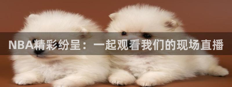 玩球直播官网入口：NBA精彩纷呈：一起观看我们的现场直播